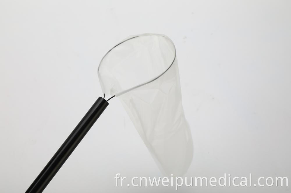 Detachable endoscopic bag